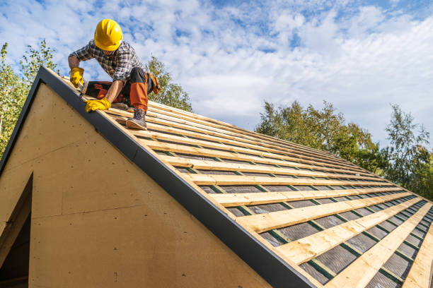 Best Storm Damage Roof Repair  in Platteville, WI